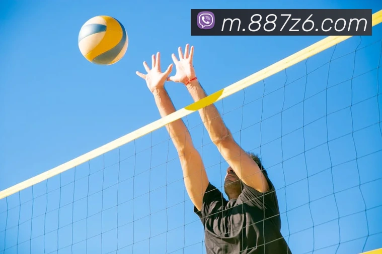 尊龙z6APP 高清赛事图